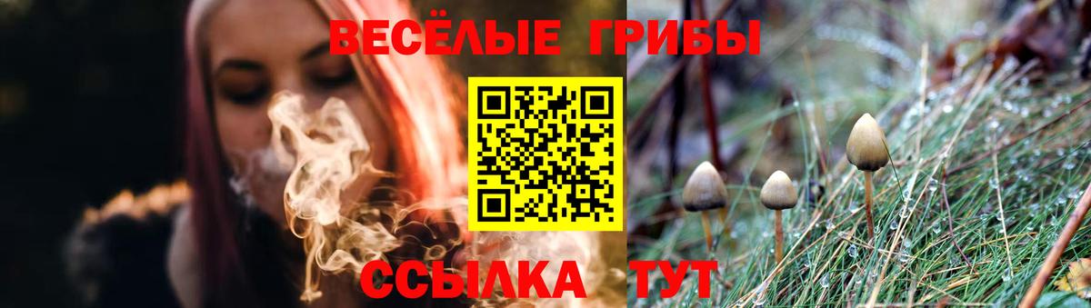 Псилоцибиновые грибы ЛСД  хочу   Моршанск  Галлюциногенные грибы GOLDEN TEACHER  Вход с VPN 